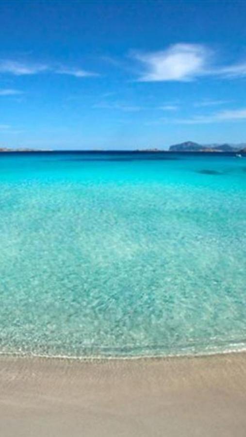 Case Vacanze La Conia Cannigione Dış mekan fotoğraf