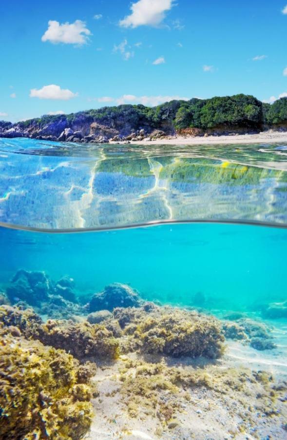 Case Vacanze La Conia Cannigione Dış mekan fotoğraf